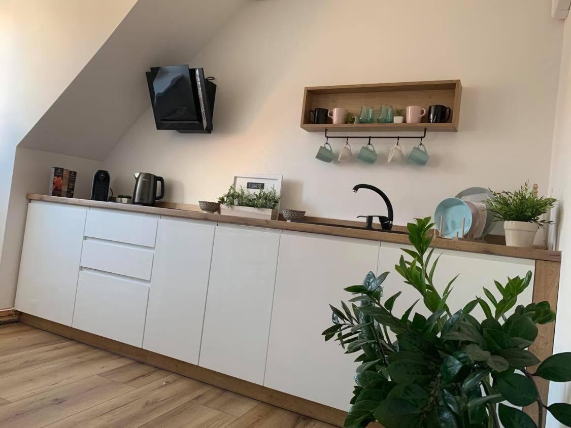 Szepty Mansardy Appartamento Stary Toruń Esterno foto